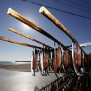 영덕청어과메기영어조합 이미지