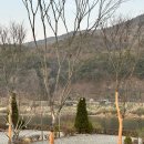 소리의섬 | 커플캠핑장으로 추천하는 충주 남한강 캠핑장 소리의 섬