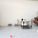 뭉개뭉개인강릉 이미지