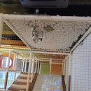 키누카누 파주야당점 이미지