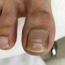 치유네일레푸스양재점 이미지