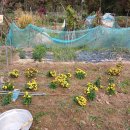 기봉농장 이미지