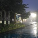 한라산(성판악 - 사라오름 - 백록담 - 삼각봉 - 관음사) 이미지