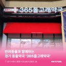 돌고래약국 이미지