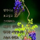 ♤간추린 아침뉴스♤ 이미지