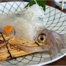 부산오징어 이미지