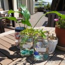 수경민박 이미지