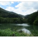 일암다리 이미지