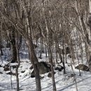 무주농산전통건과 | 내돈내산ㅣ 무주 덕유산 리조트 '티롤 호텔' 화이트 패키지 이용 꿀팁 및 솔직후기