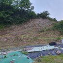 동면교차로 이미지