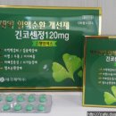 태극) 긴코센정120mg(240t)/ 혈액순환 개선제 이미지