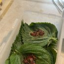배트맨 노래연습장 이미지