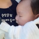 풍림아이스크림할인점