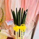 사파동159 이미지