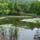 미원3리 이미지