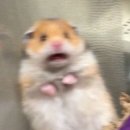 하나스토리 호스텔 이미지