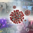 강서무도학원 이미지