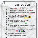 헬로 펌