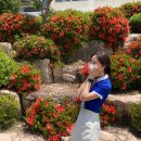 창원경일여자고등학교 이미지