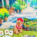 기쁜 유치원 이미지