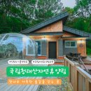 국립 청태산 자연휴양림 - 신축 숲속의 집 소나무, 태조가 반한 울창한 산림