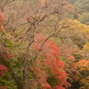 금곡영화마을 이미지