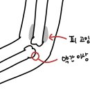꽁냥이놀이터 이미지