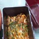 참사리맛집 이미지