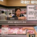 씨제이피드앤케어(주) 네이버블로그