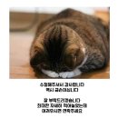 벨라킴 | 결혼준비 : 웨딩촬영 수정 대구 홍스튜디오 벨라킴 후기