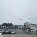 창우물회대게