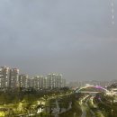 라이크무드 이미지