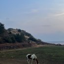 야크마을 | 제주도 2박3일 여행 | 야크마을 후기, 서귀포 카페•맛집 추천