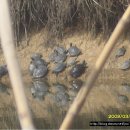 굴포천 복개 주차장 이미지