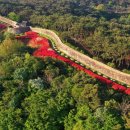 개간지천 이미지