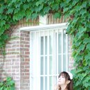 다모
