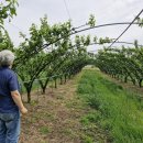 승산농장 이미지