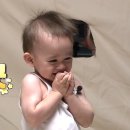 머리끄댕이 이미지