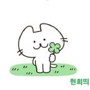 중도매인44