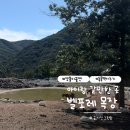 그린목장 | 증평 벨포레 목장 아이랑 다녀온 후기 양몰이 시간표 동물먹이주기 체험