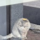 드림도수안마원 이미지