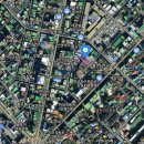 원도심 은행나무 이미지