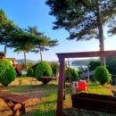 솔향기 가득한 펜션 이미지