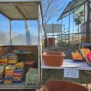 칠곡양떼목장 이미지