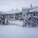 채송화펜션 이미지