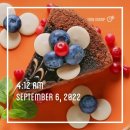 해빙데이 이미지