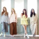 달샤벳 카카오 검색결과
