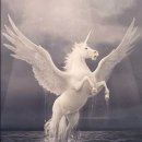 페가수스 이미지