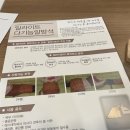 수목토일라이트예산