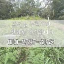 태안묘지이장.벌초 | 순창군벌초대행 순창벌초대행 순창파묘 순창묘지이장 문중 산소 완벽 정비